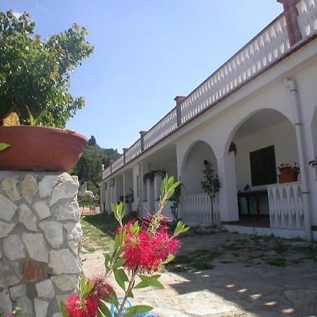 B&B La Formichina 佩斯基奇 外观 照片